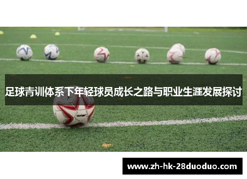 足球青训体系下年轻球员成长之路与职业生涯发展探讨