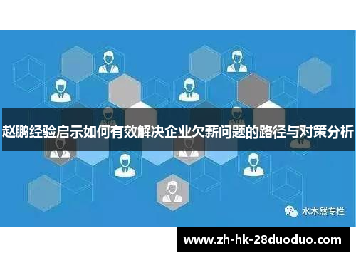 赵鹏经验启示如何有效解决企业欠薪问题的路径与对策分析