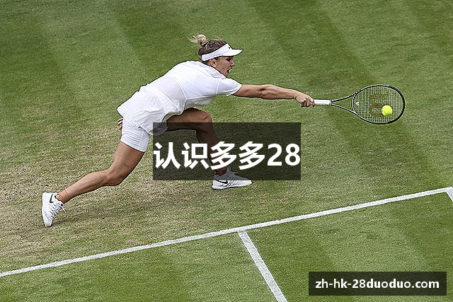 认识多多28